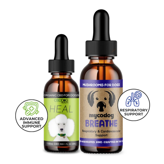 Dog Respiratory Duo