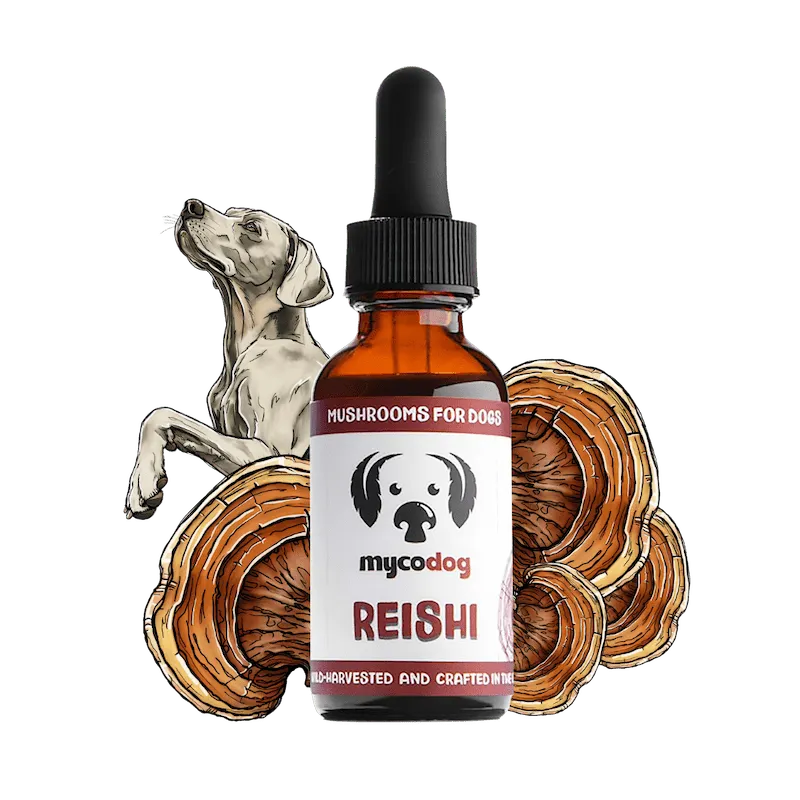 MycoDog Reishi: Stress Response & Vitality