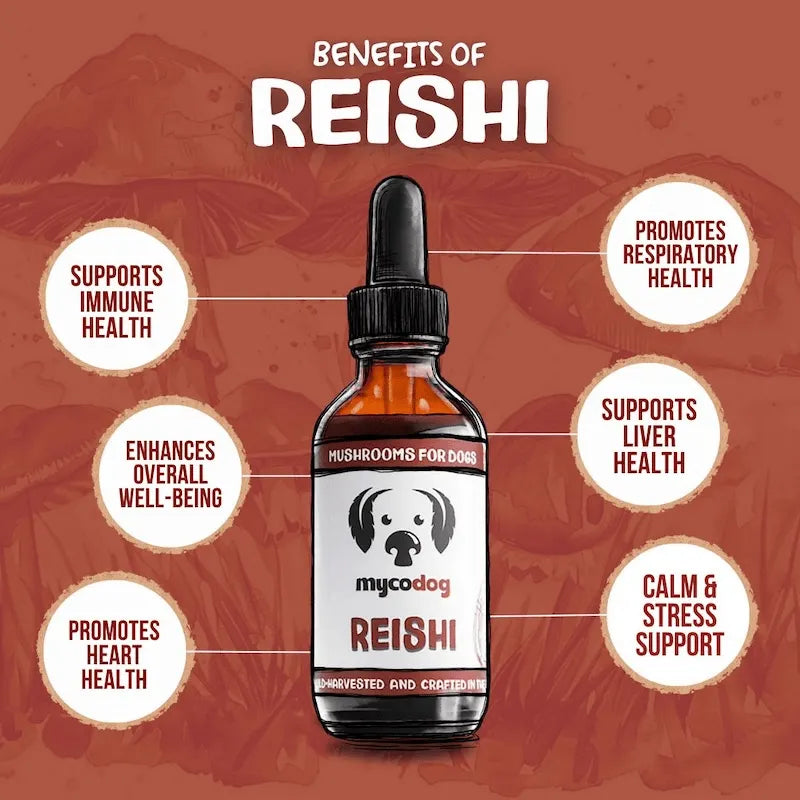 MycoDog Reishi: Stress Response & Vitality