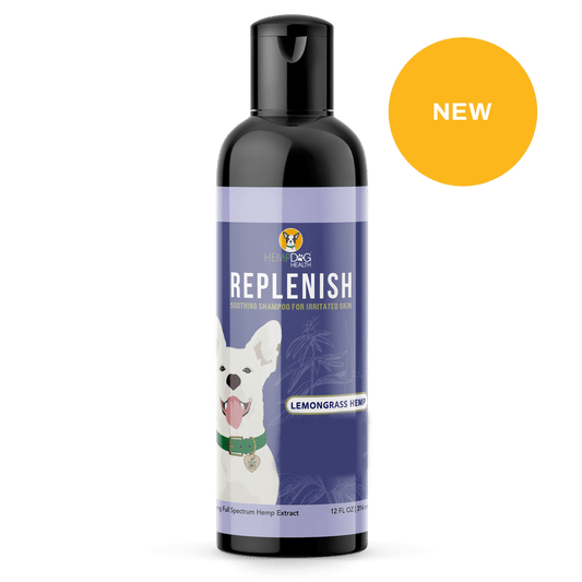 Replenish CBD dog shampoo itchy dog natural shampoo