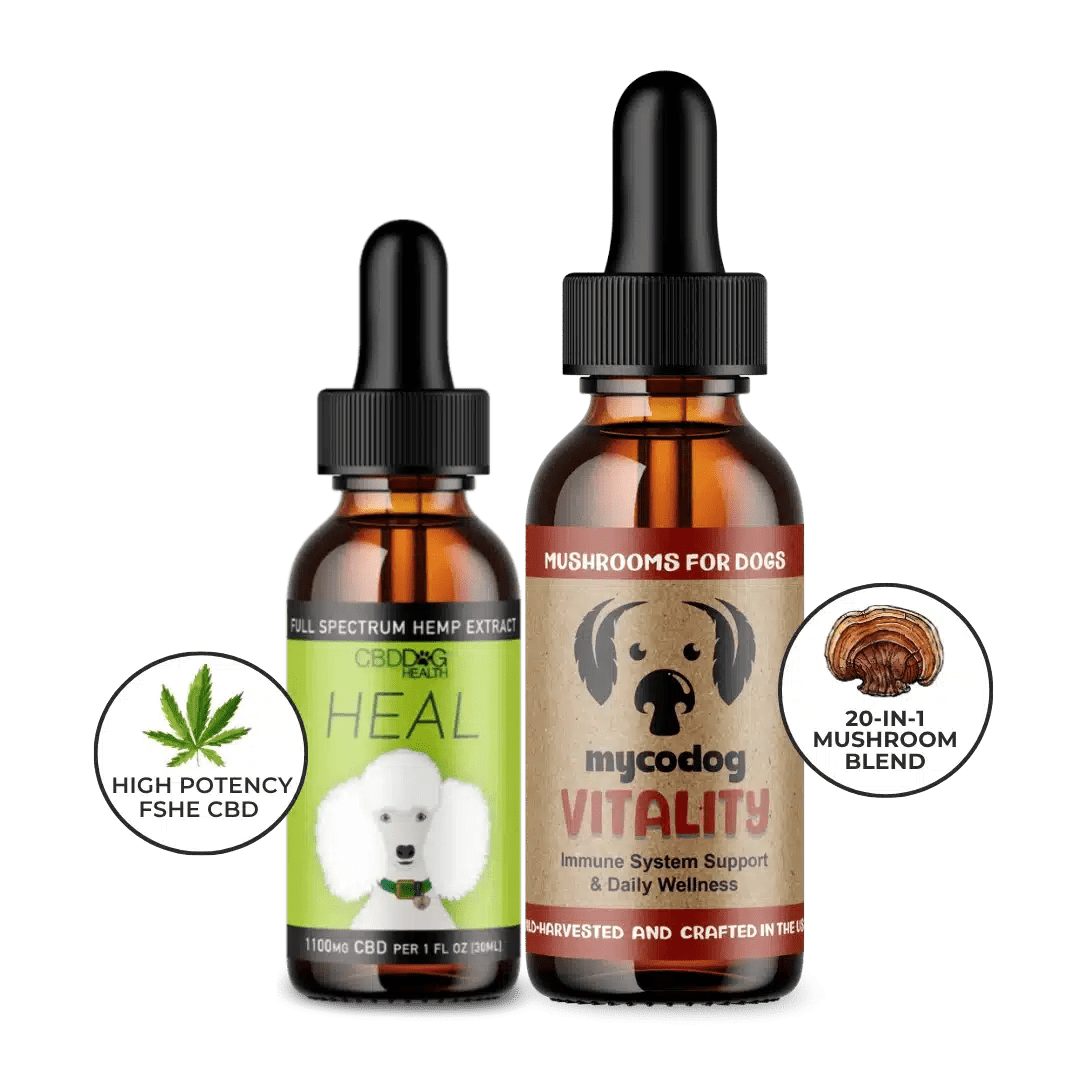 resilience duo cbd for dog immune support mushrooms for dogs immune support dog natural multivitamin supplement