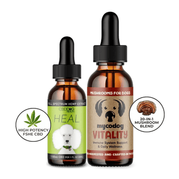 resilience duo cbd for dog immune support mushrooms for dogs immune support dog natural multivitamin supplement