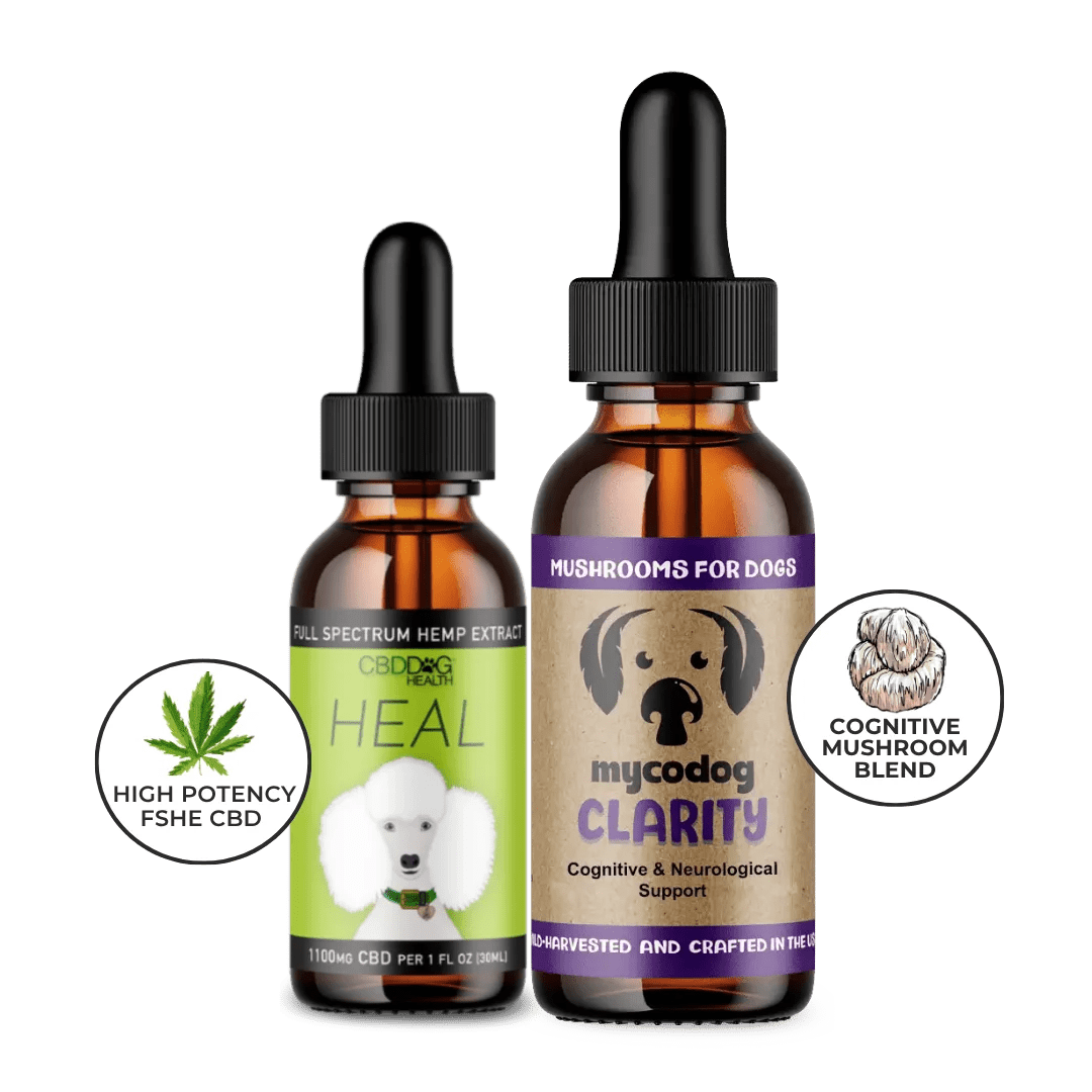 senior dog supplements bundle cbd for senior dog brain health cognitive mushrooms for dogs
