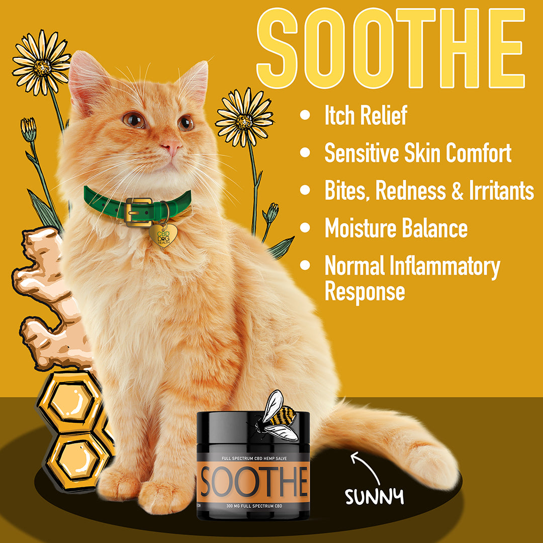 topical cbd for cats soothe salve itchy cat ears how can I soothe my cats itchy skin