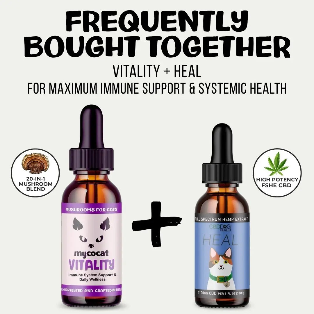 MycoCat Vitality: Immune & Overall Health