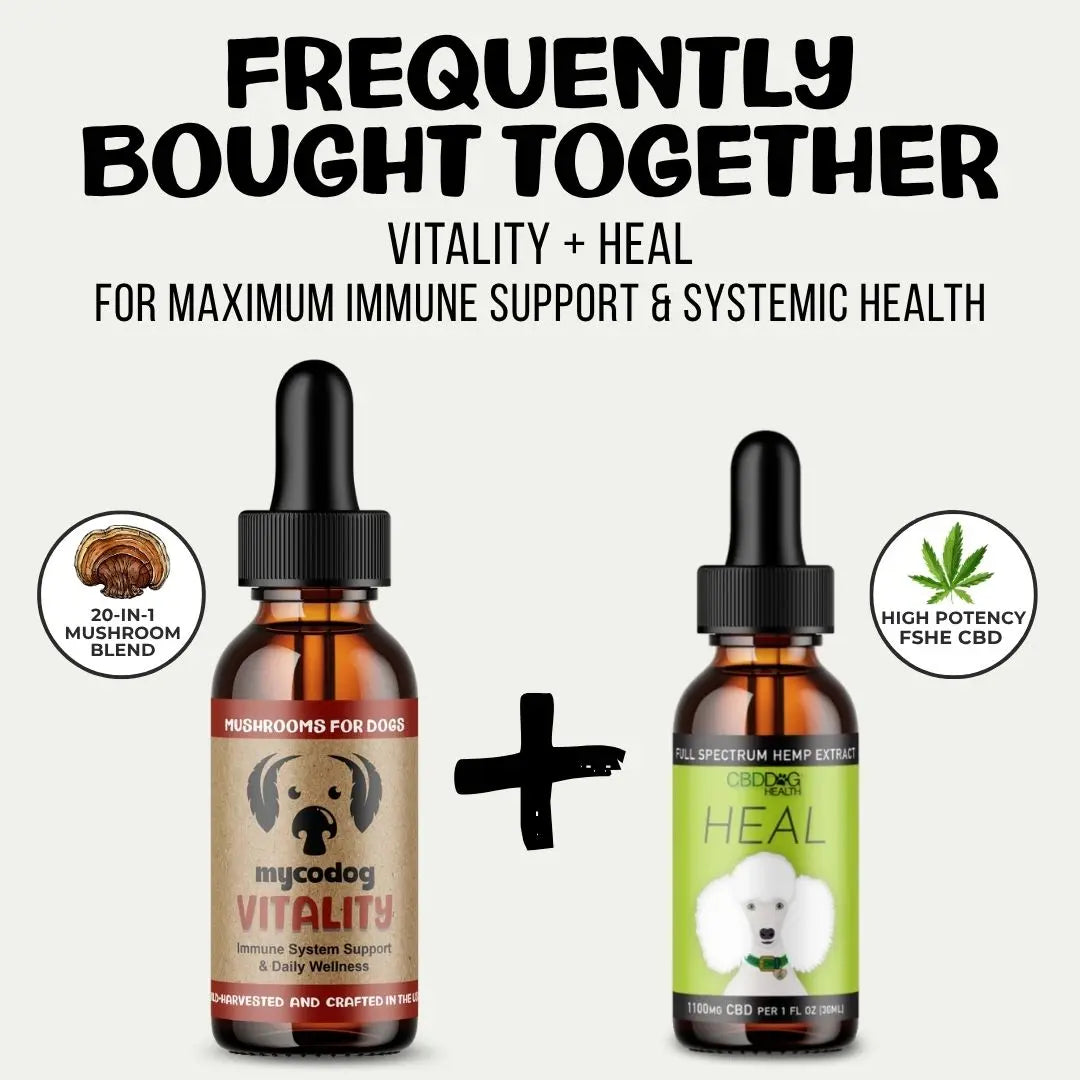 MycoDog Vitality: Immune & Overall Health