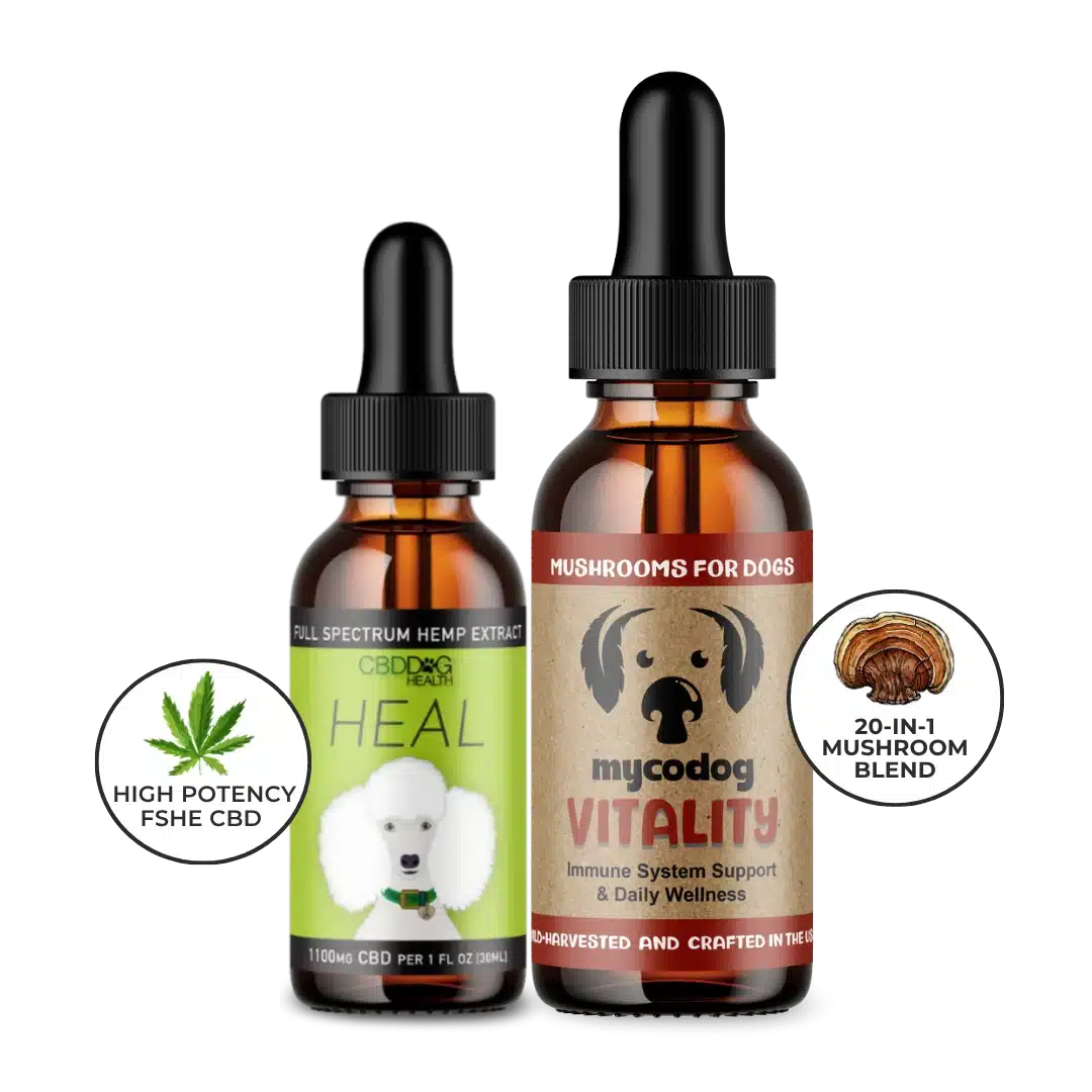 resilience duo cbd for dog immune support mushrooms for dogs immune support dog natural multivitamin supplement