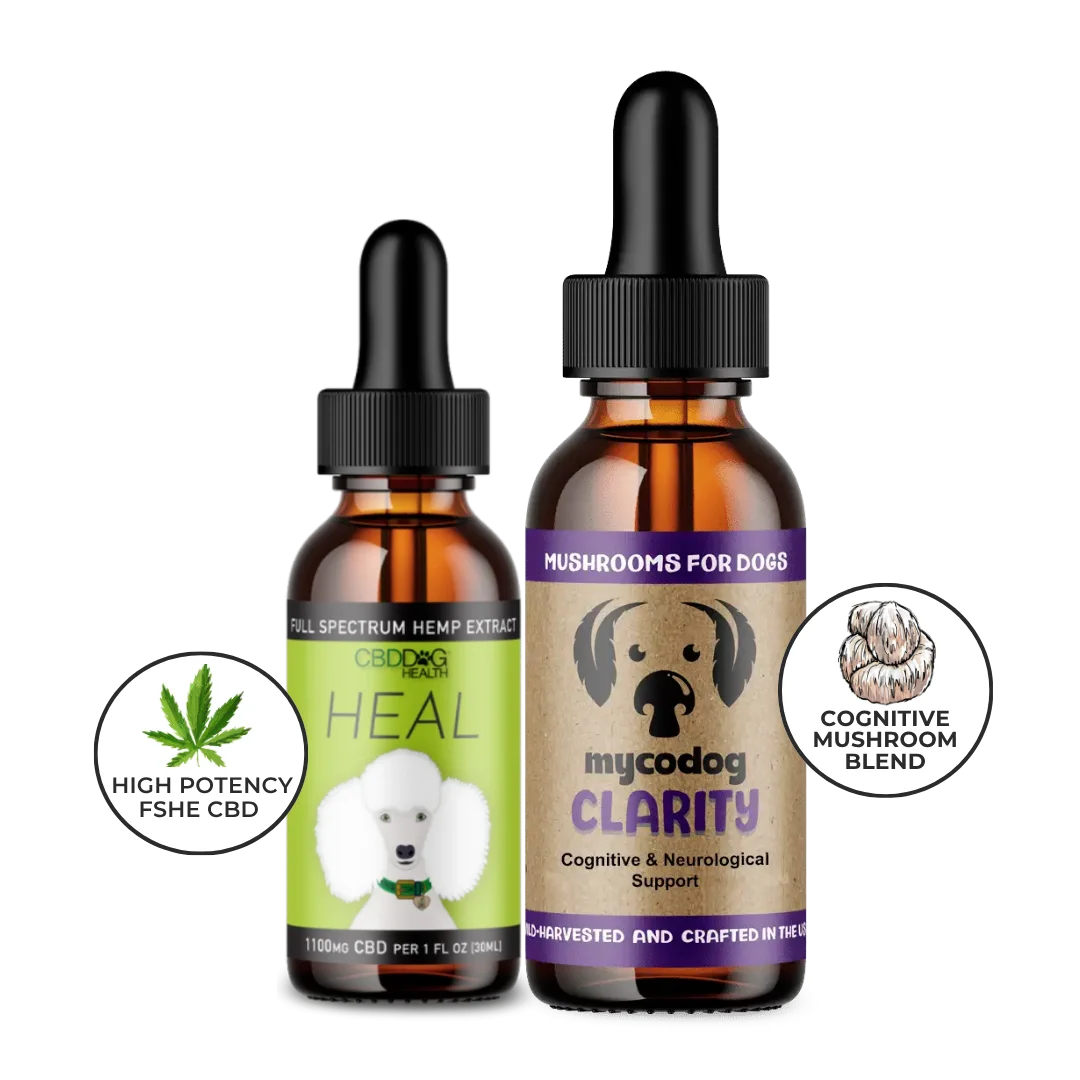 senior dog supplements bundle cbd for senior dog brain health cognitive mushrooms for dogs
