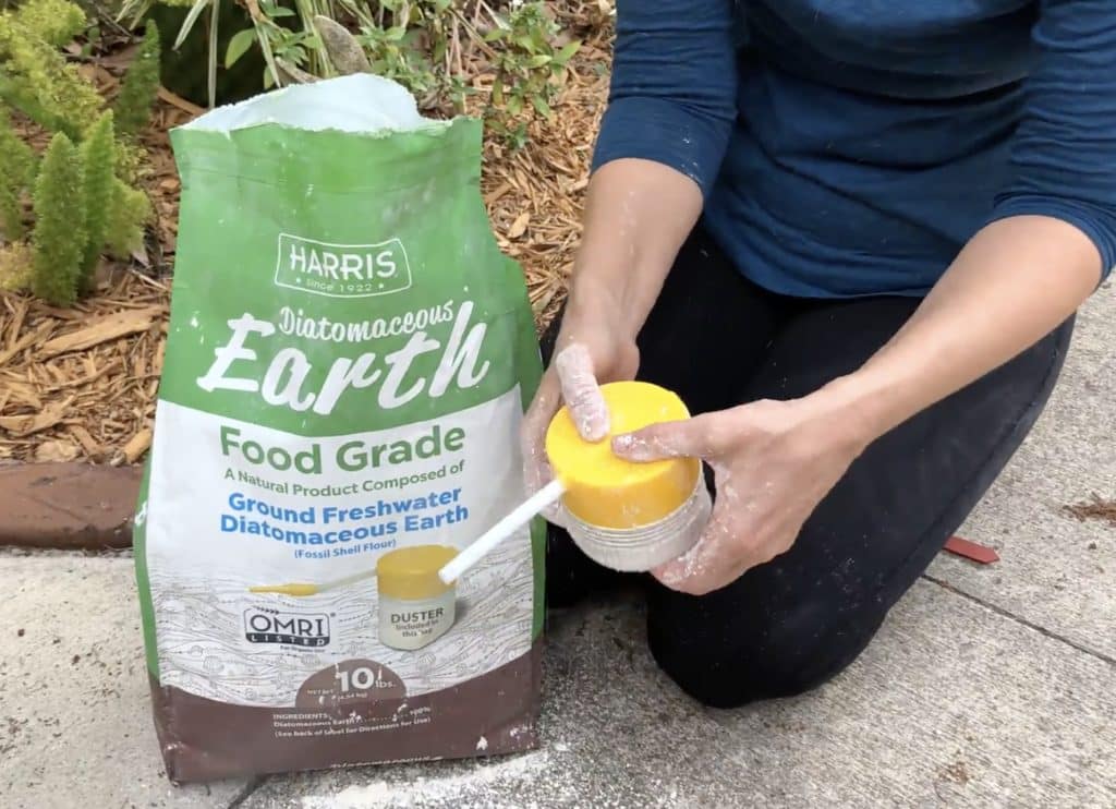 Diatomaceous Earth for Dogs CBD Dog Health