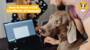 how to read a coa cbd certificate of analysis