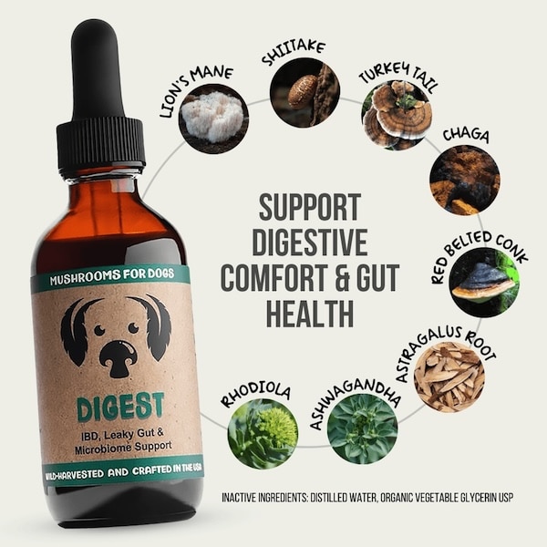 MycoDog Digest mushrooms for dogs with IBD in dogs cats inflammation gut health