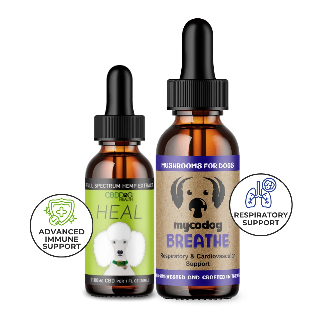 dog respiratory infection supplement immune support cbd dog mushrooms adaptogens