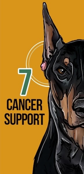 CBD for cancer in dogs - 7 Common Dog Health Issues CBD Can Help 