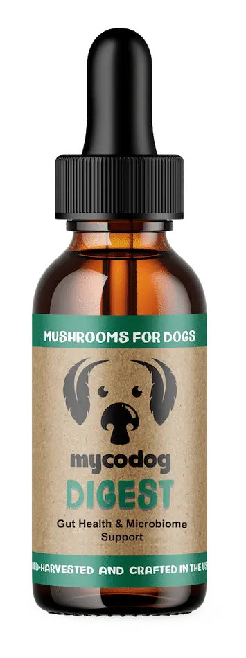 benefits of digest mushroom extract blend for dogs gut health mushrooms for dogs
