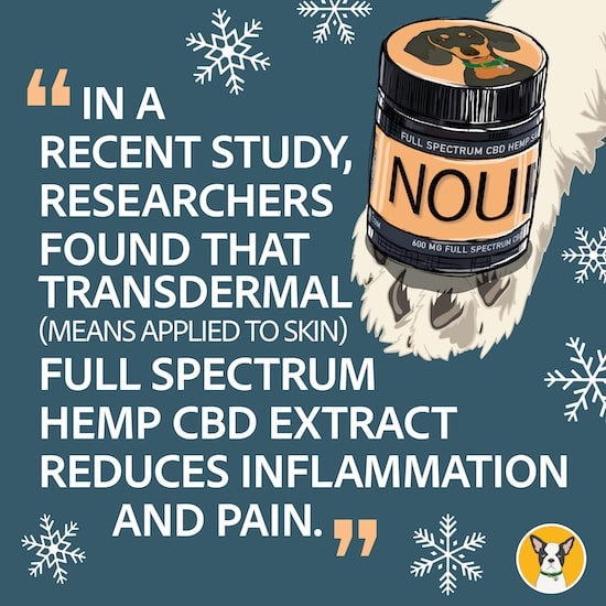 natural Winter Paw protection cbd dog paw balm cbd for inflammation and pain