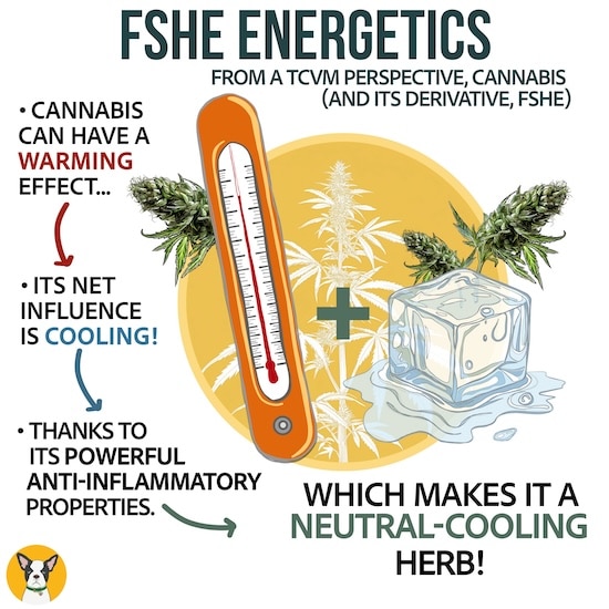 Energetics of CBD cannabis warming cooling neutral FSHE TCVM