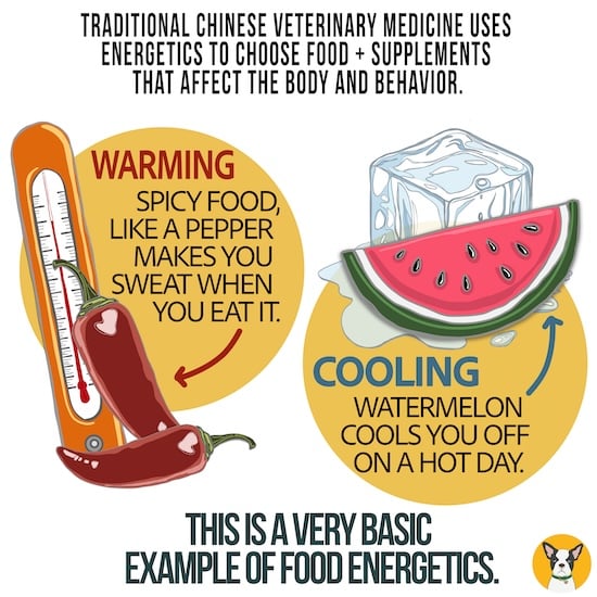 TCVM food energetics basic example of warming cooling foods for pets dogs cats