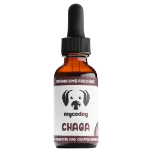 chaga for dogs chaga for pets