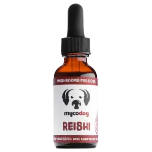 reishi for dogs